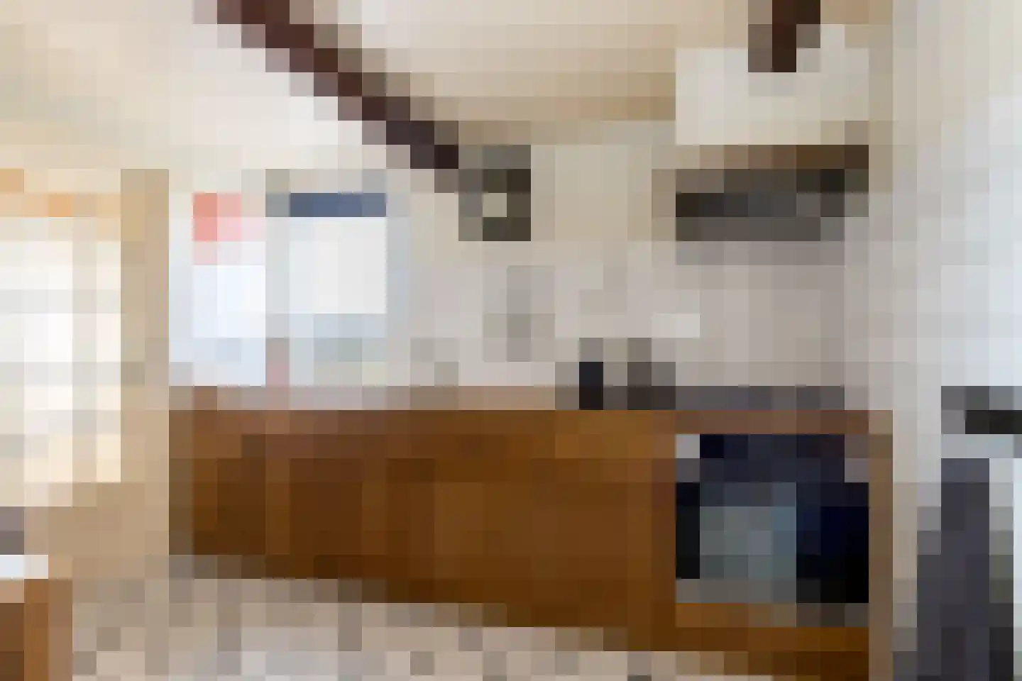 Nieuwstraat 41 Gameren thumbnail 6