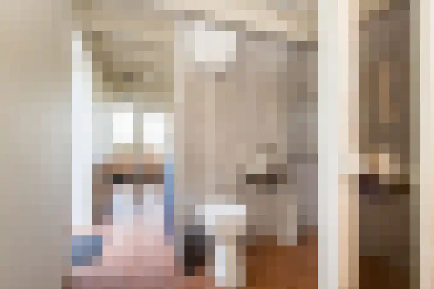 Nieuwstraat 41 Gameren thumbnail 60