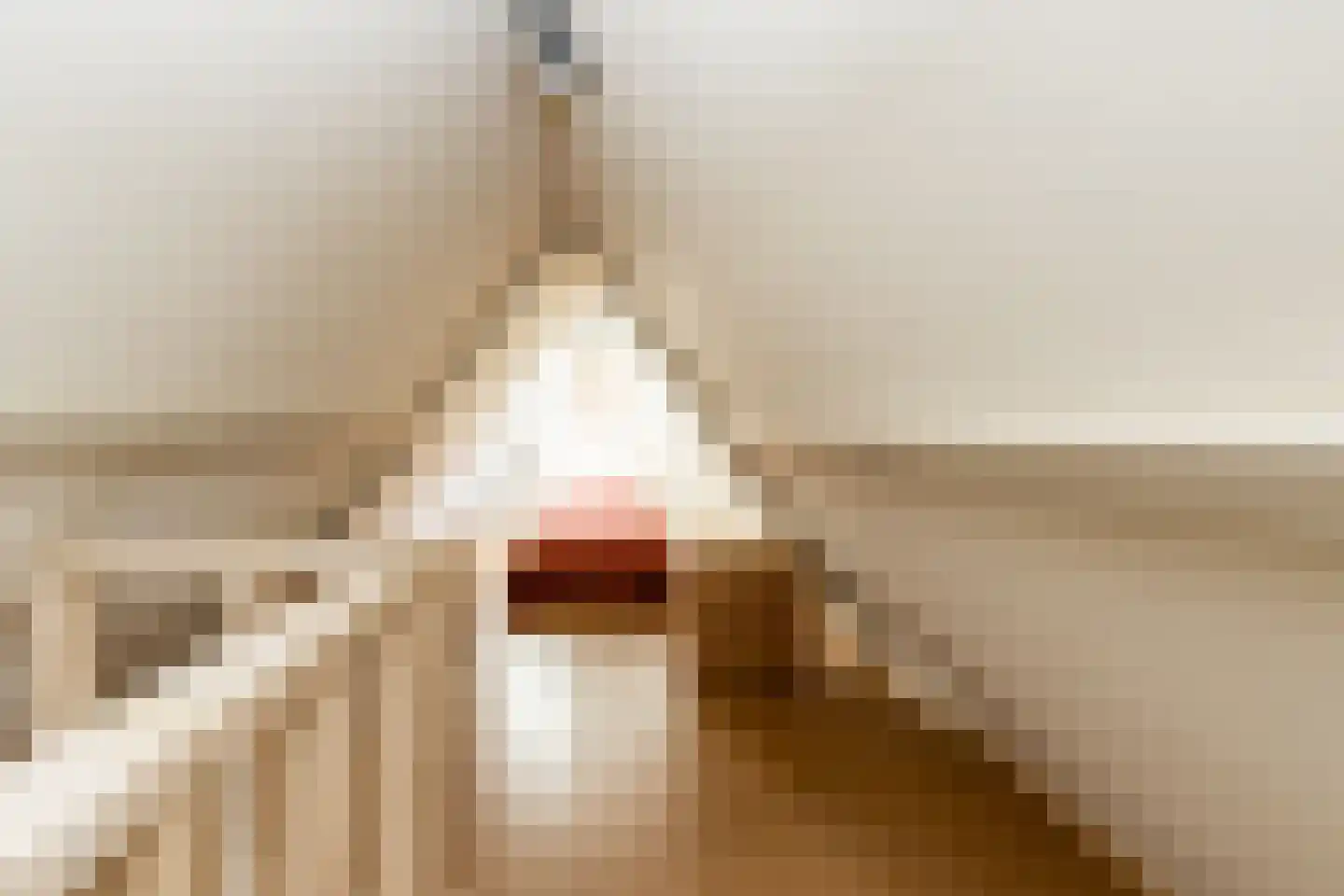 Nieuwstraat 41 Gameren thumbnail 63