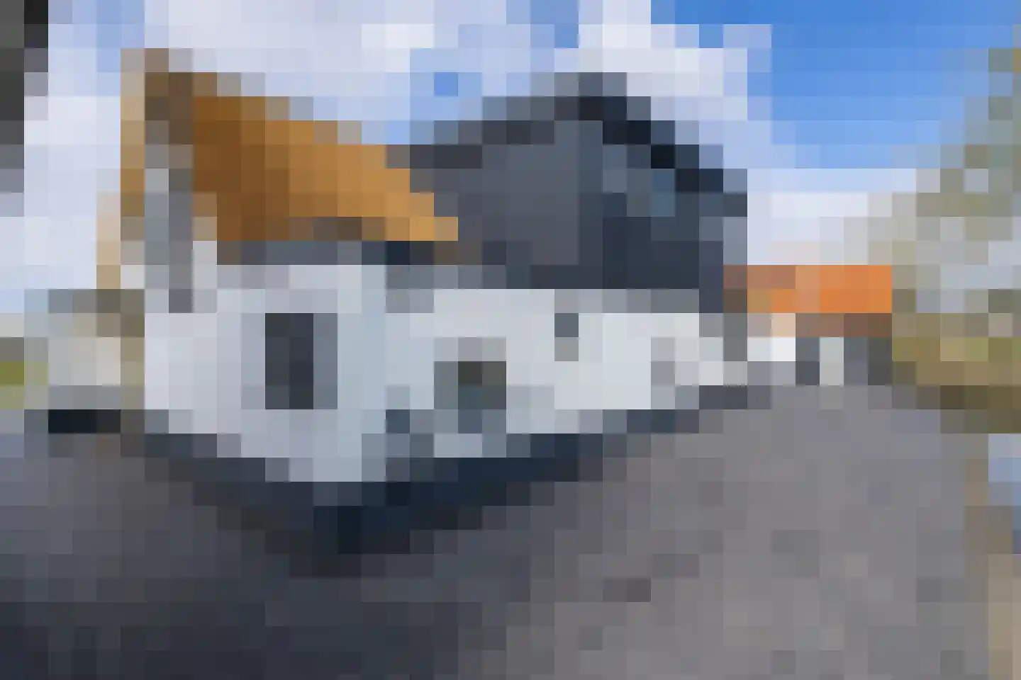 Nieuwstraat 41 Gameren thumbnail 65