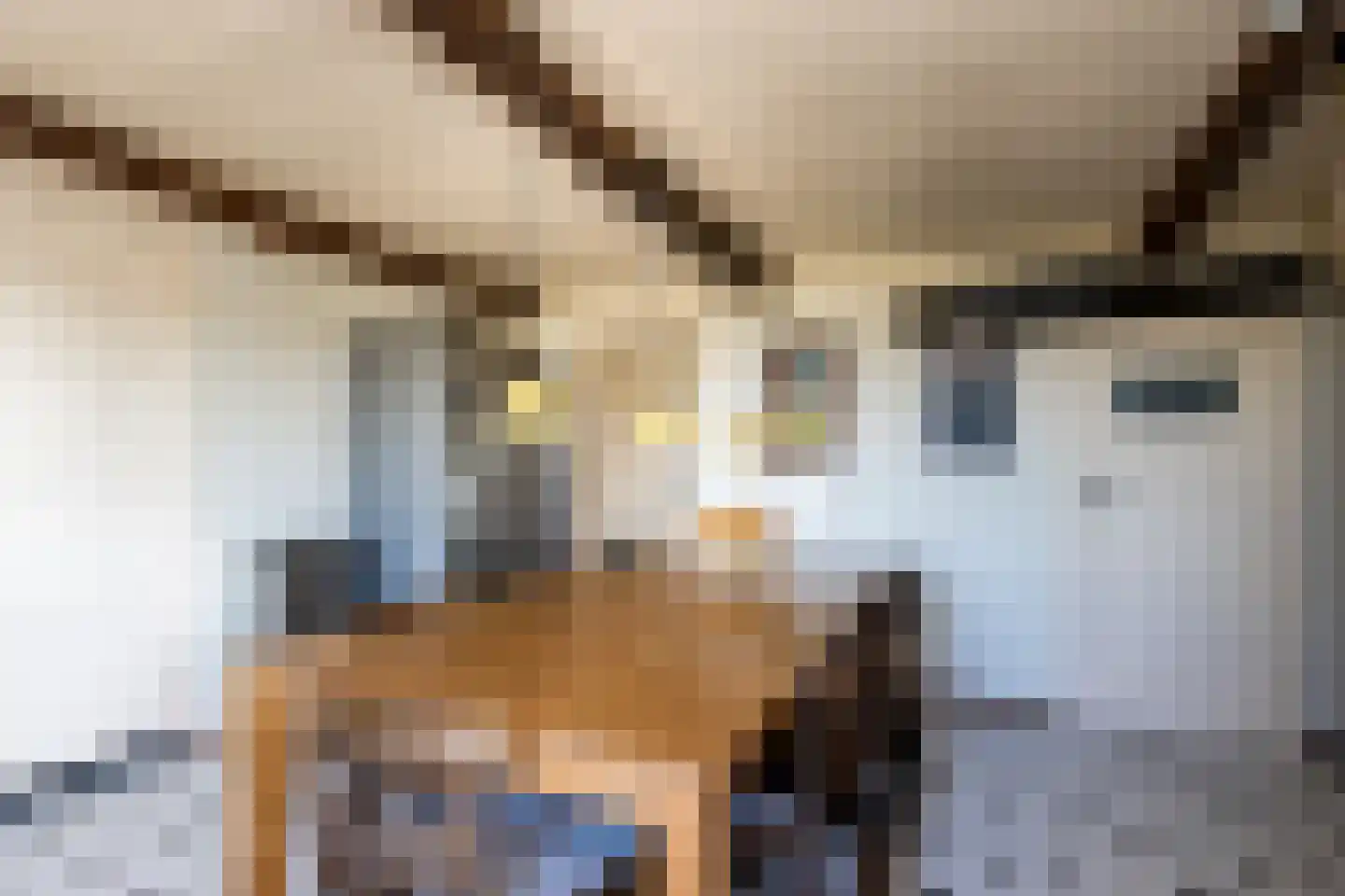 Nieuwstraat 41 Gameren thumbnail 8