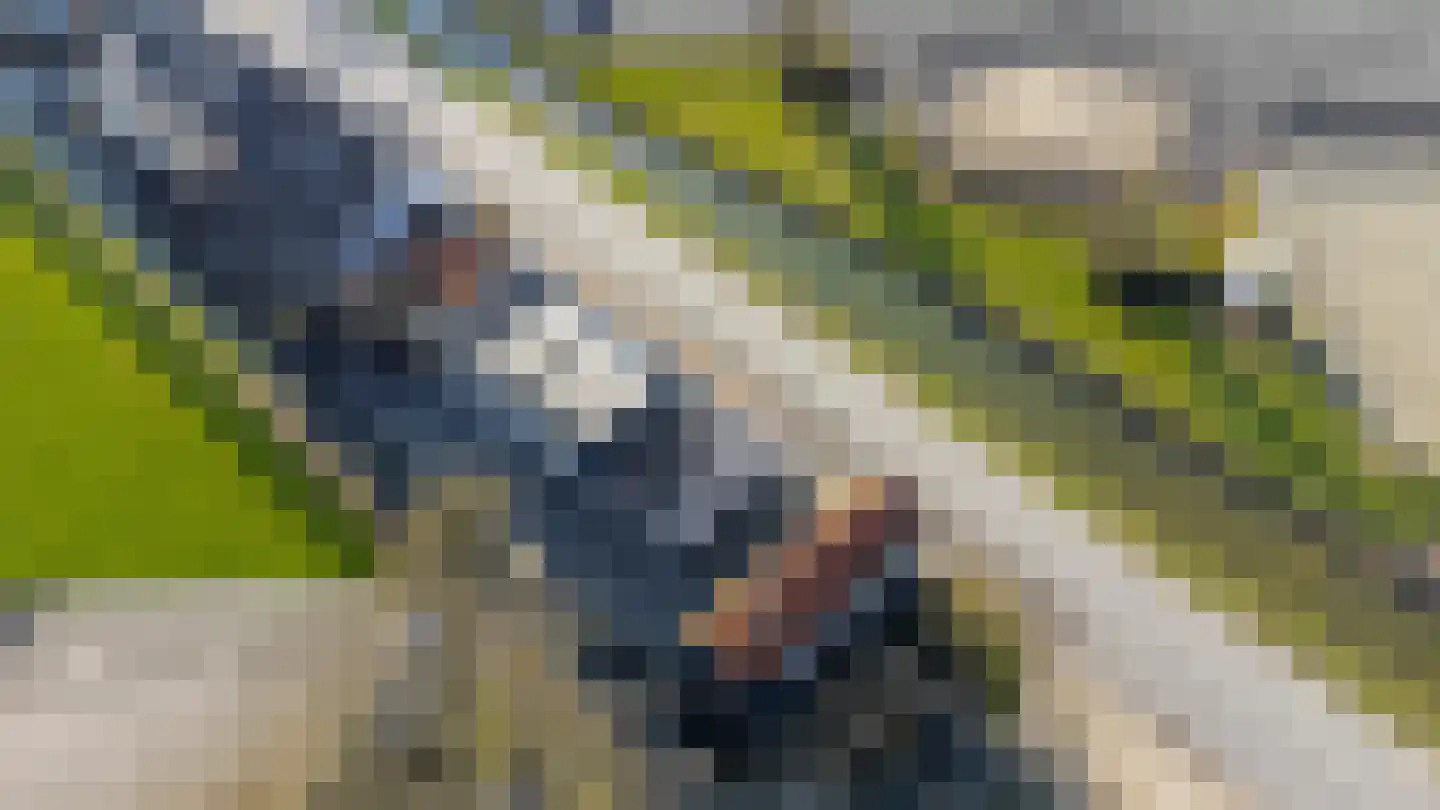 Nieuwstraat 41 Gameren thumbnail 80