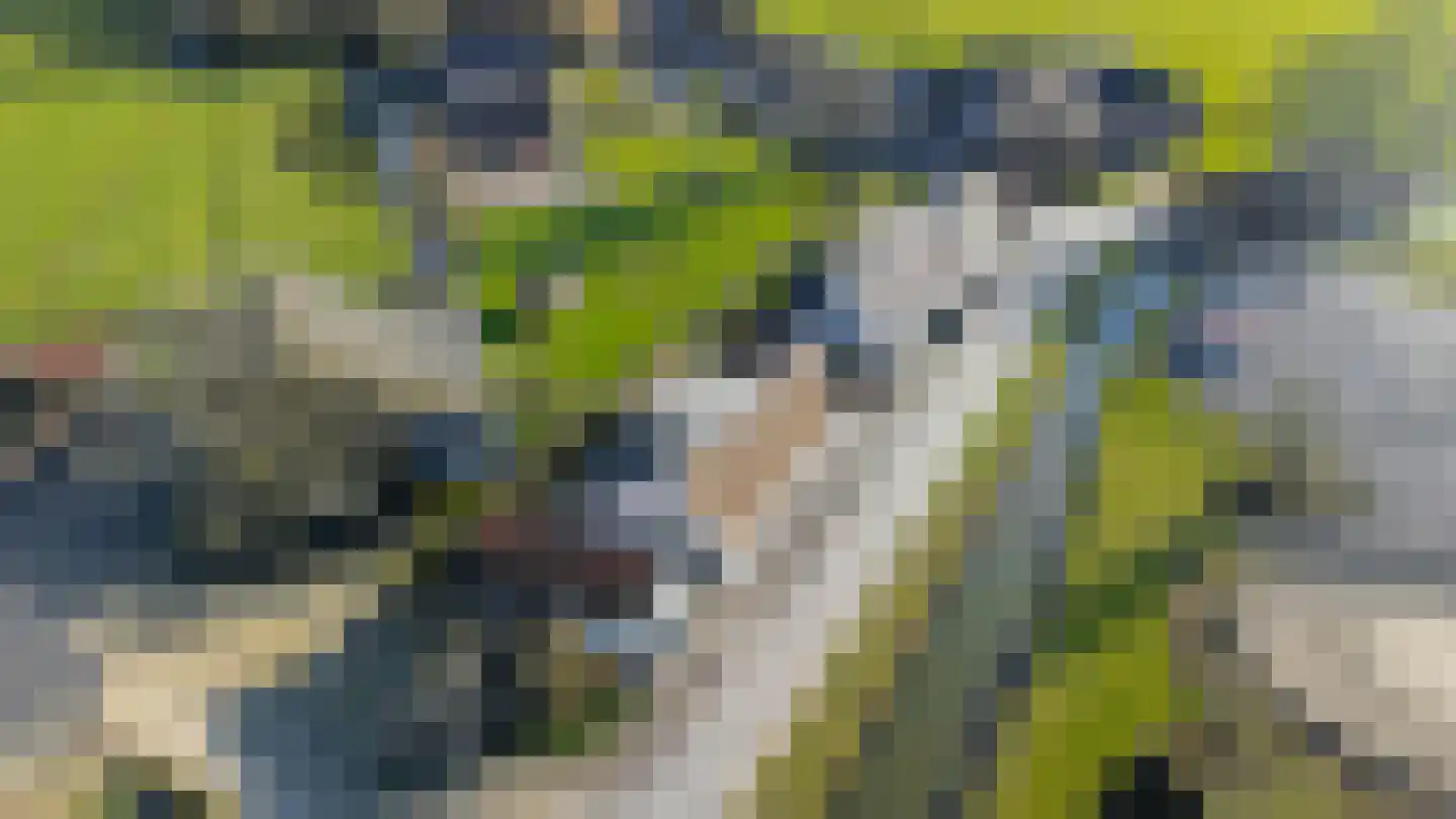 Nieuwstraat 41 Gameren thumbnail 81