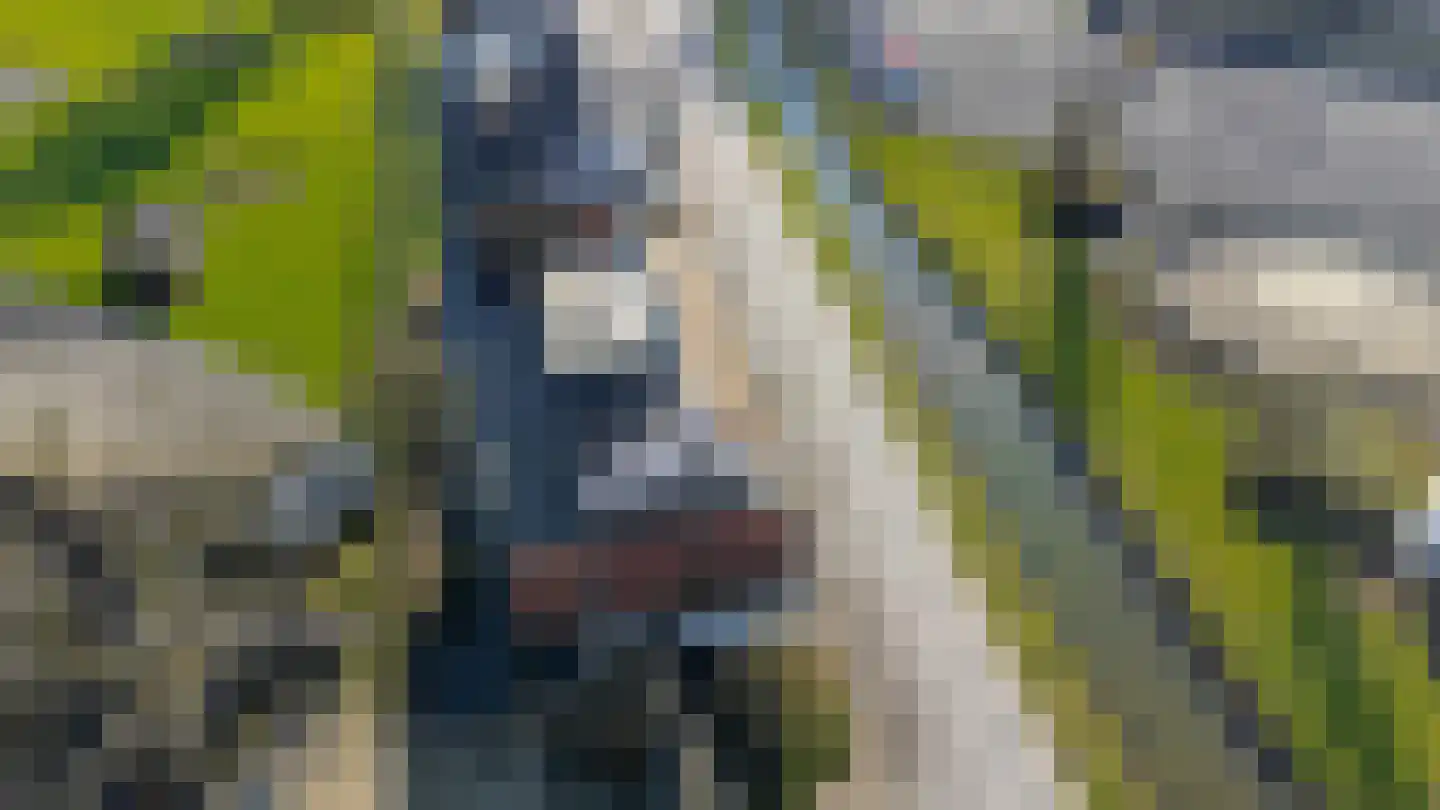 Nieuwstraat 41 Gameren thumbnail 84