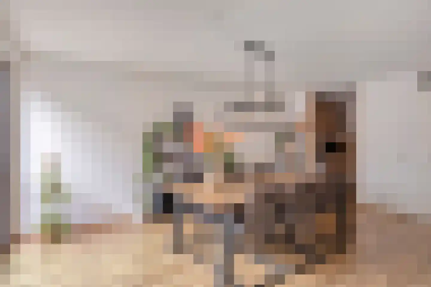 Nieuwstraat 41 Nijmegen thumbnail 19