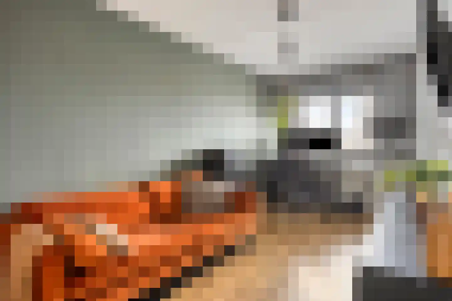 Nieuwstraat 41 Nijmegen thumbnail 27