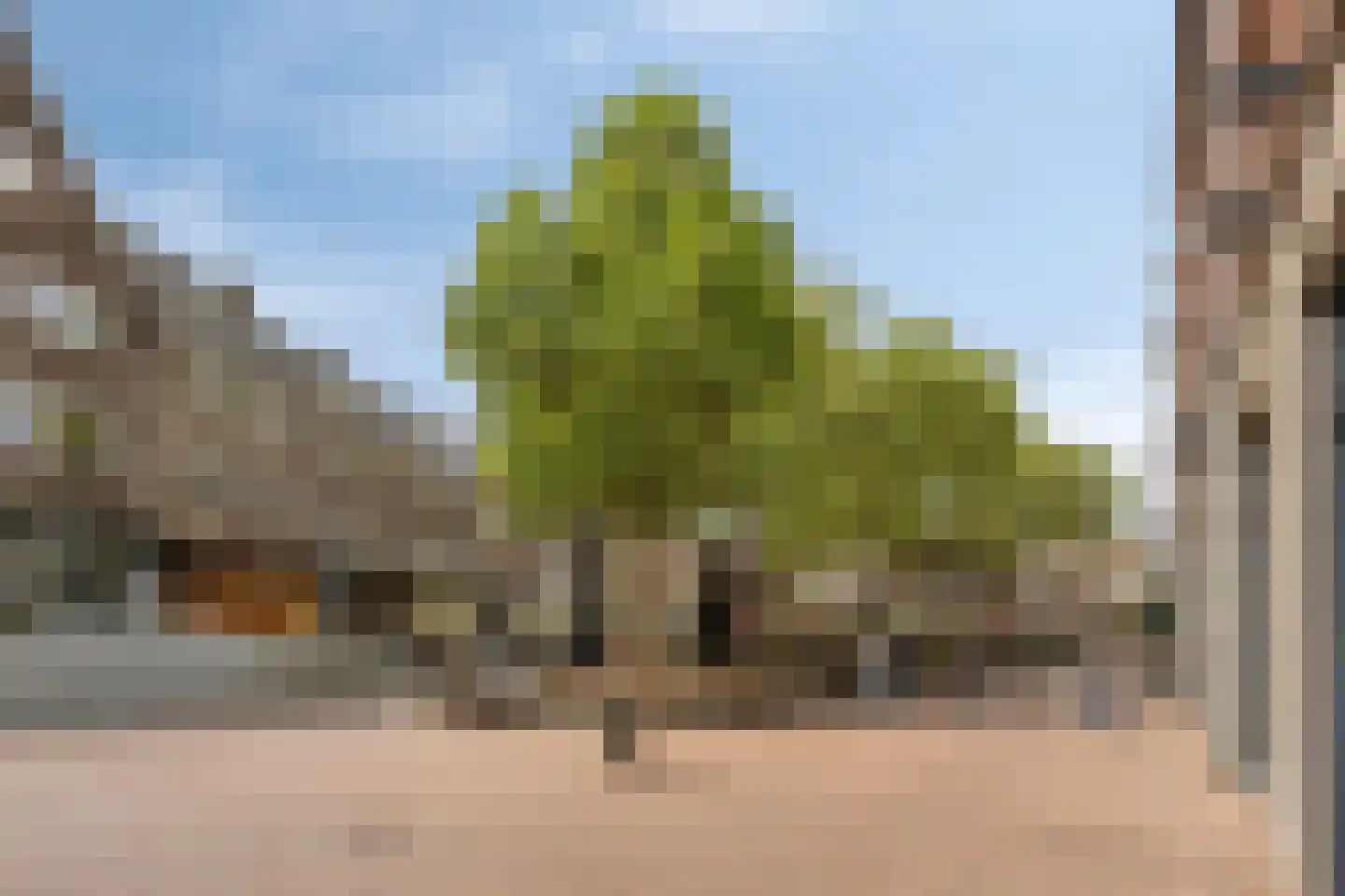 Nieuwstraat 41 Nijmegen thumbnail 44