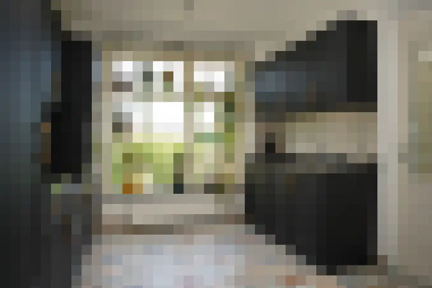 Nieuwstraat 41 Oostburg thumbnail 11