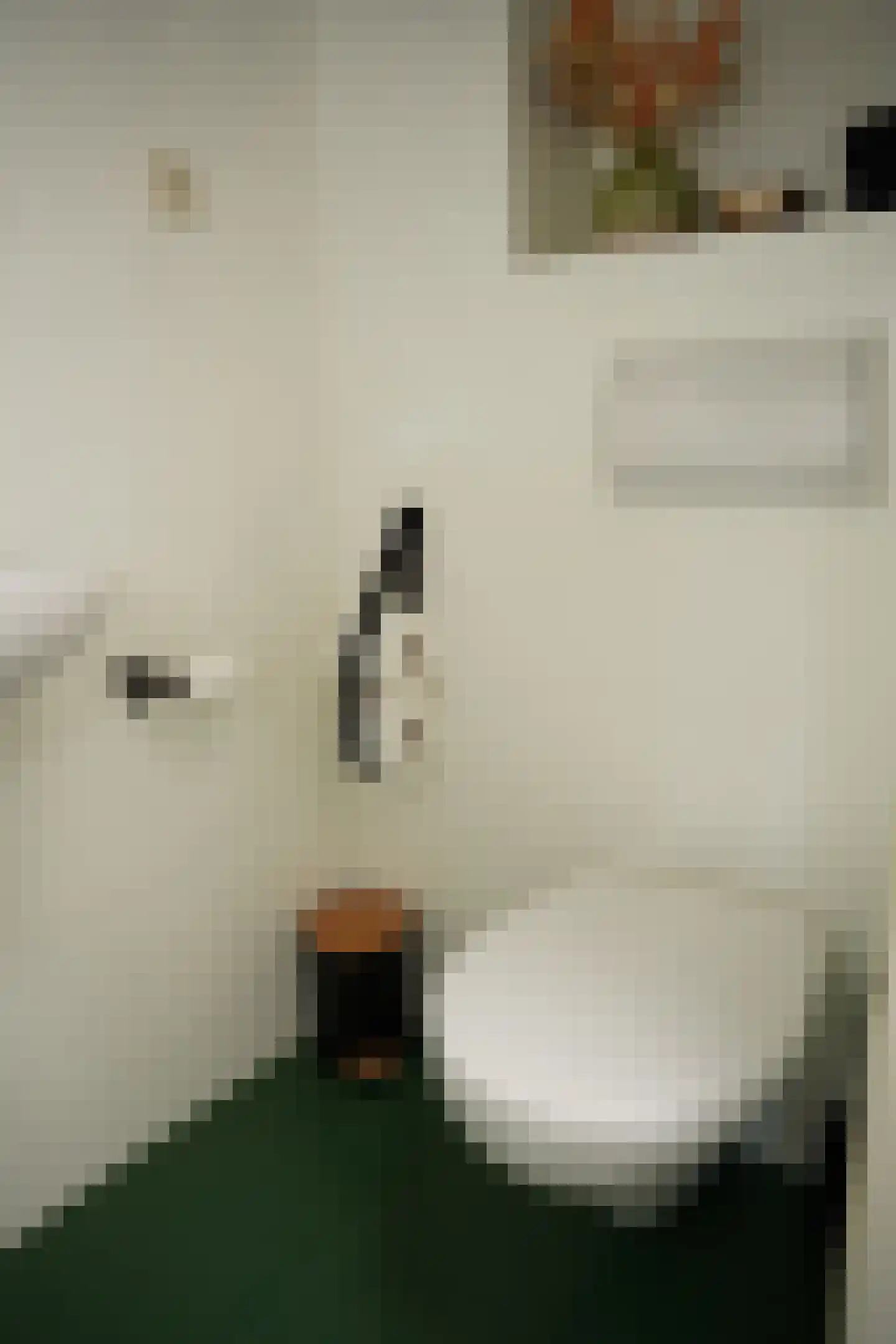 Nieuwstraat 41 Oostburg thumbnail 14