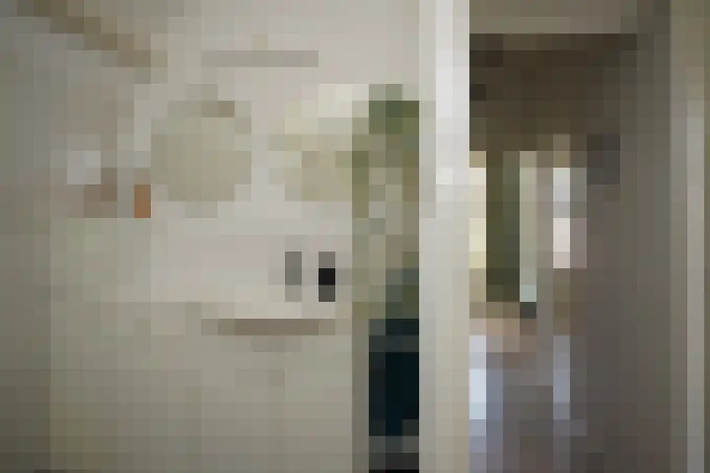 Nieuwstraat 41 Oostburg thumbnail 21