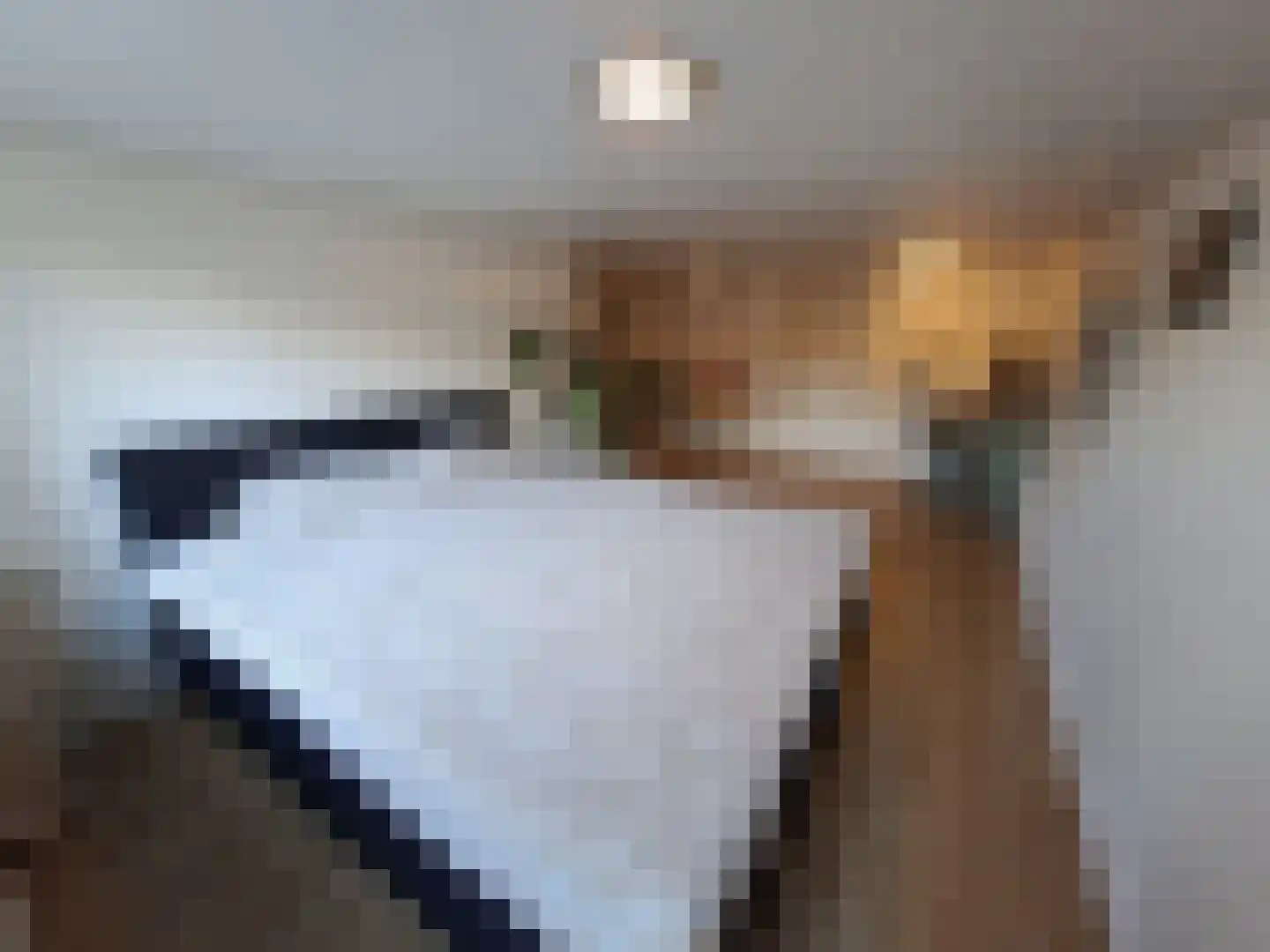 Nieuwstraat 41 Oostburg thumbnail 28