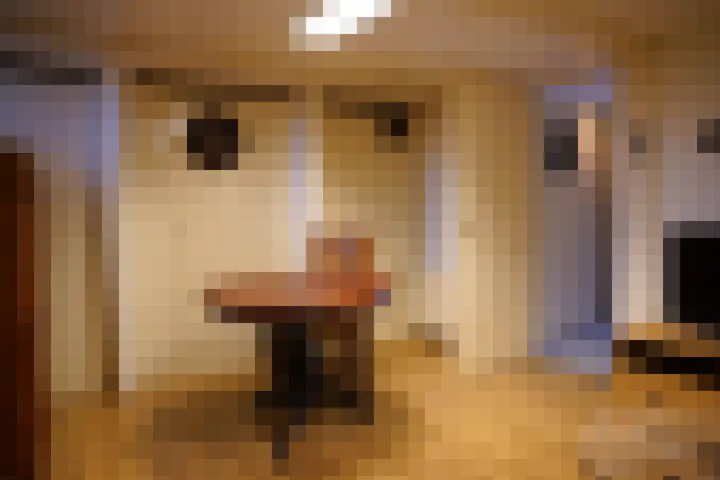 Nieuwstraat 41 Oostburg thumbnail 31