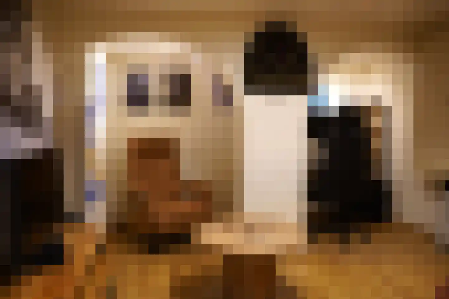 Nieuwstraat 41 Oostburg thumbnail 32