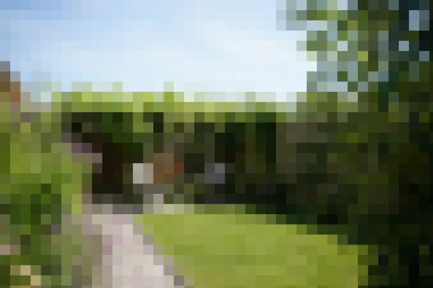Nieuwstraat 41 Oostburg thumbnail 41