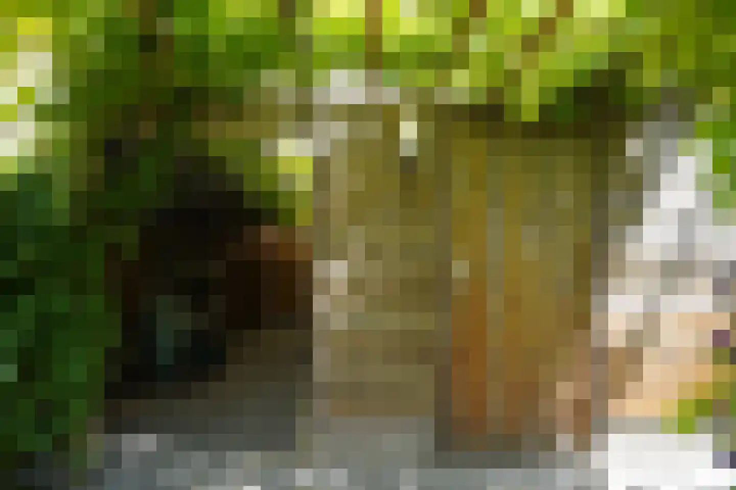 Nieuwstraat 41 Oostburg thumbnail 43