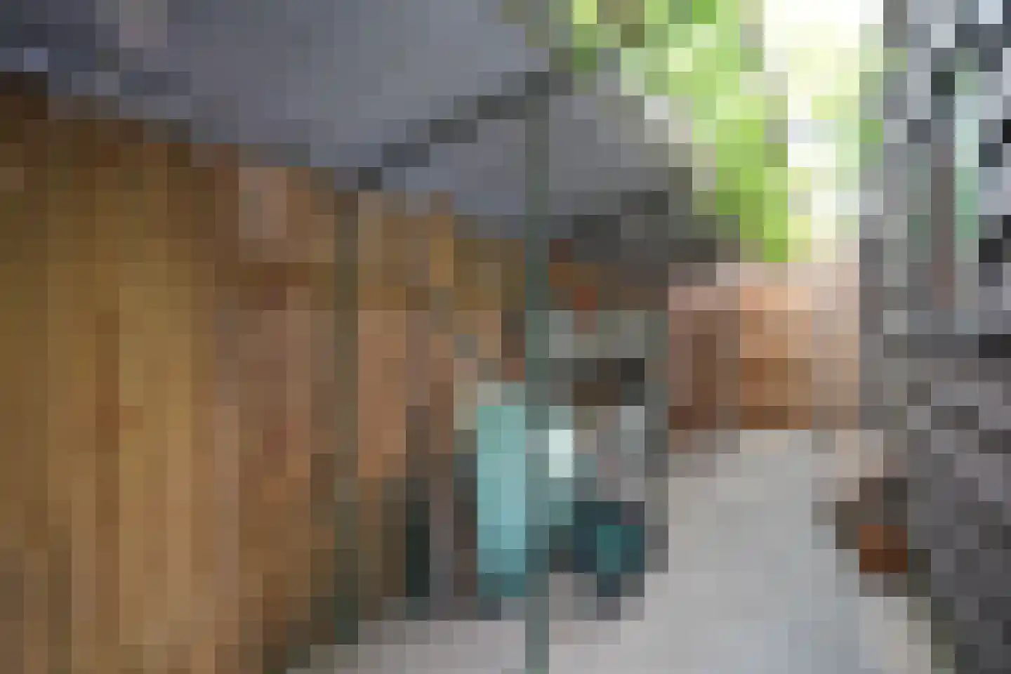 Nieuwstraat 41 Oostburg thumbnail 46