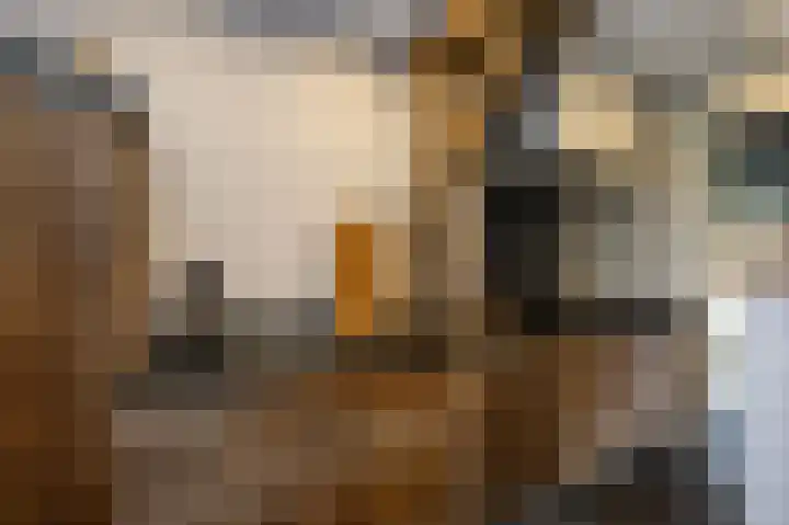 Nieuwstraat 42 Stad aan 't Haringvliet thumbnail 10