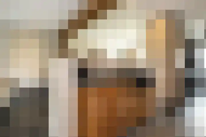 Nieuwstraat 42 Stad aan 't Haringvliet thumbnail 11