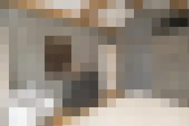 Nieuwstraat 42 Stad aan 't Haringvliet thumbnail 21