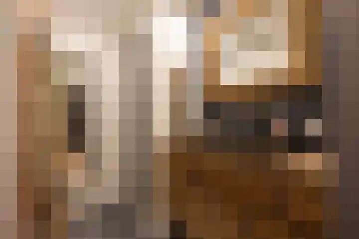 Nieuwstraat 42 Stad aan 't Haringvliet thumbnail 25
