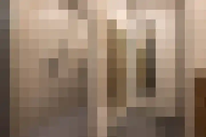 Nieuwstraat 42 Stad aan 't Haringvliet thumbnail 27