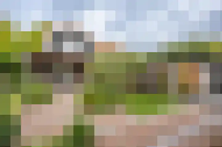 Nieuwstraat 42 Stad aan 't Haringvliet thumbnail 31