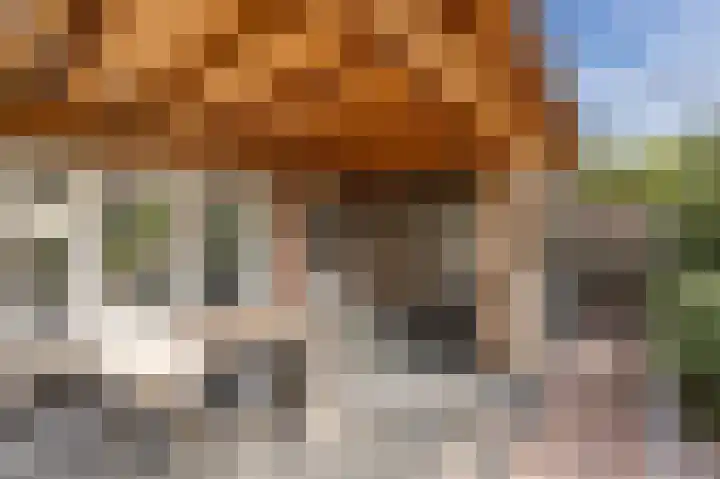 Nieuwstraat 42 Stad aan 't Haringvliet thumbnail 33