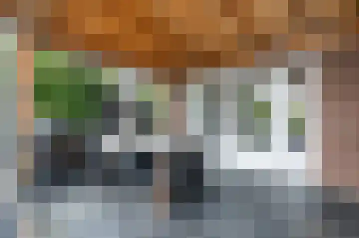 Nieuwstraat 42 Stad aan 't Haringvliet thumbnail 34