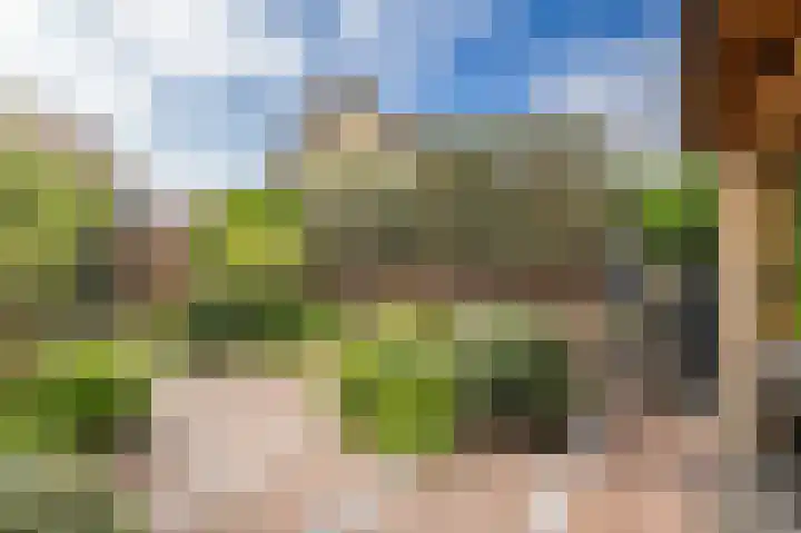 Nieuwstraat 42 Stad aan 't Haringvliet thumbnail 38