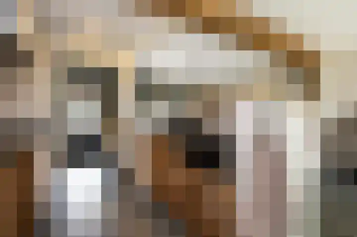 Nieuwstraat 42 Stad aan 't Haringvliet thumbnail 8