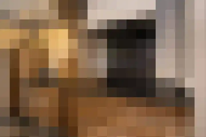 Nieuwstraat 42 Stad aan 't Haringvliet thumbnail 9