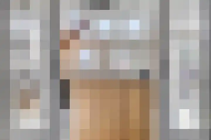 Nieuwstraat 42 Winsum thumbnail 15