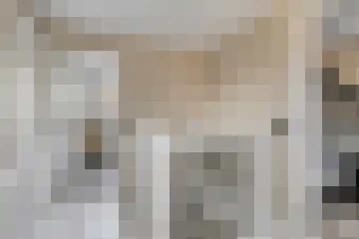 Nieuwstraat 42 Winsum thumbnail 27