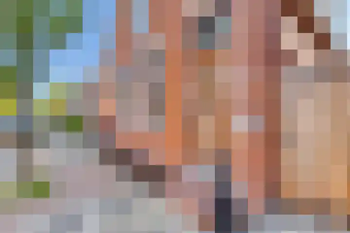 Nieuwstraat 42 Winsum thumbnail 7