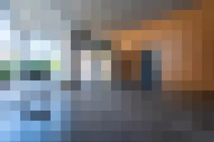 Nieuwstraat 428 Spijkenisse thumbnail 11