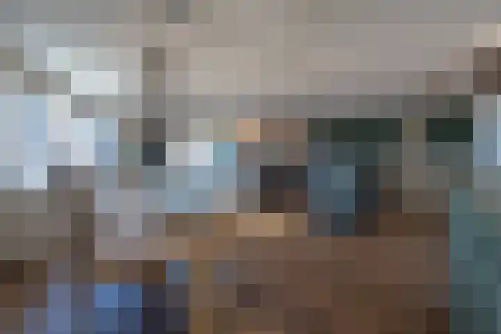 Nieuwstraat 428 Spijkenisse thumbnail 16