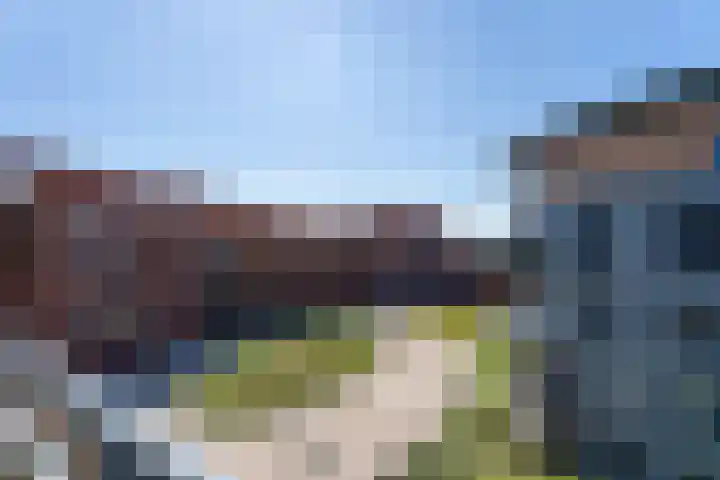 Nieuwstraat 428 Spijkenisse thumbnail 23