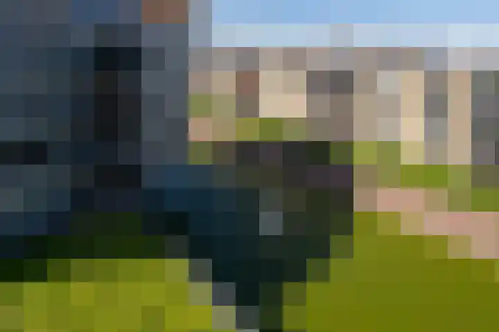 Nieuwstraat 428 Spijkenisse thumbnail 24