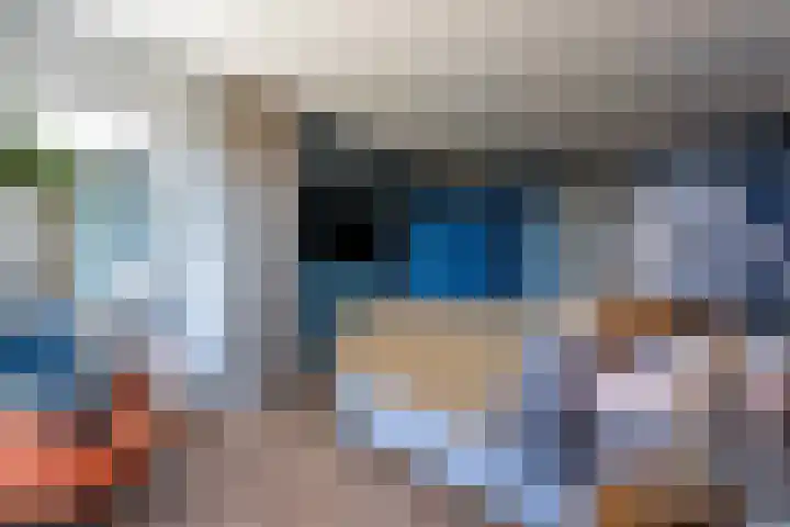 Nieuwstraat 428 Spijkenisse thumbnail 26