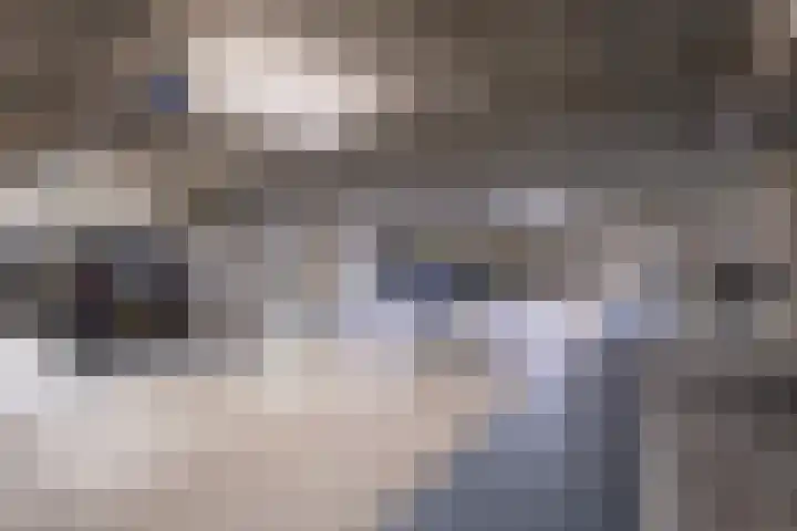 Nieuwstraat 428 Spijkenisse thumbnail 31