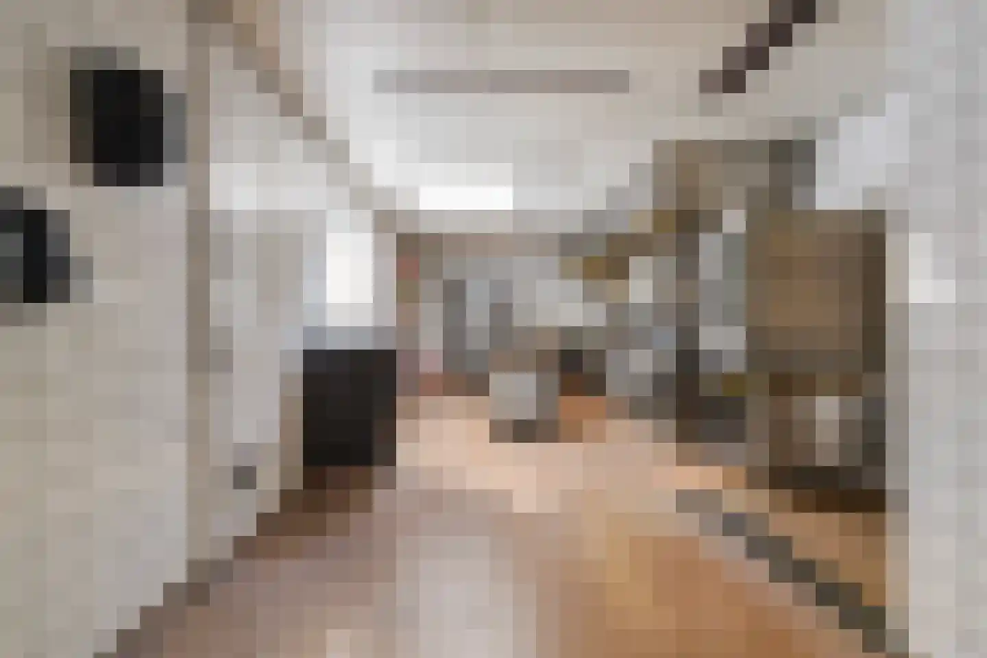 Nieuwstraat 43 Liempde thumbnail 17