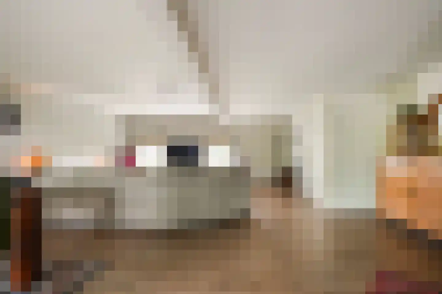 Nieuwstraat 43 Liempde thumbnail 29