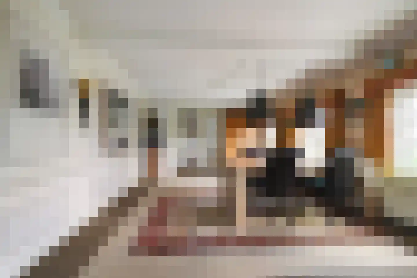 Nieuwstraat 43 Liempde thumbnail 33