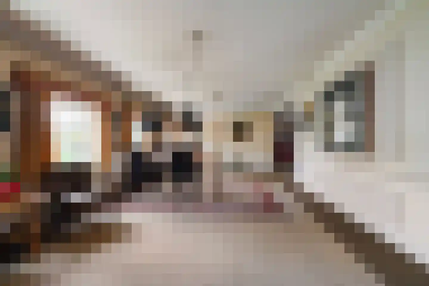 Nieuwstraat 43 Liempde thumbnail 34