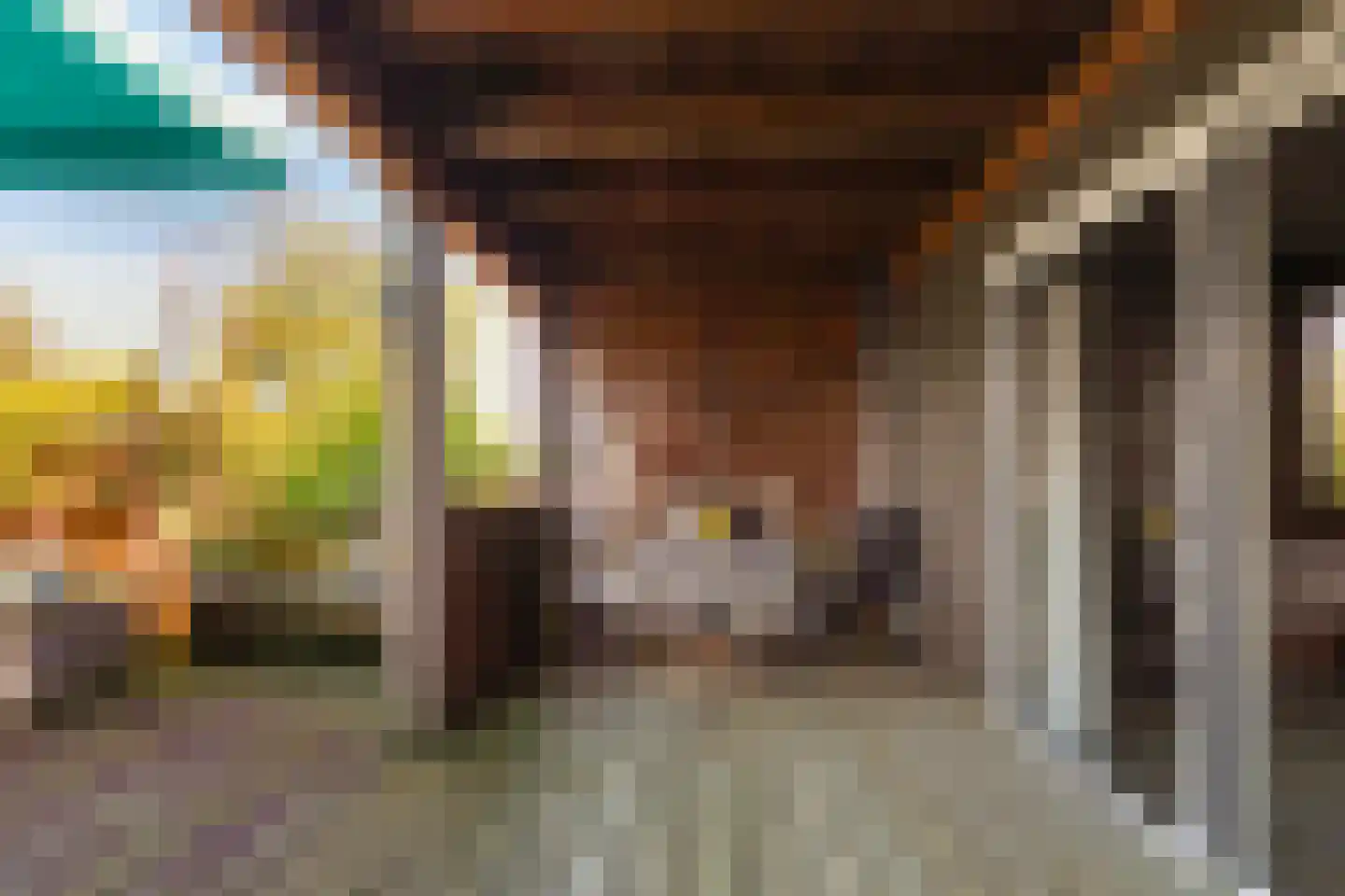 Nieuwstraat 43 Liempde thumbnail 48
