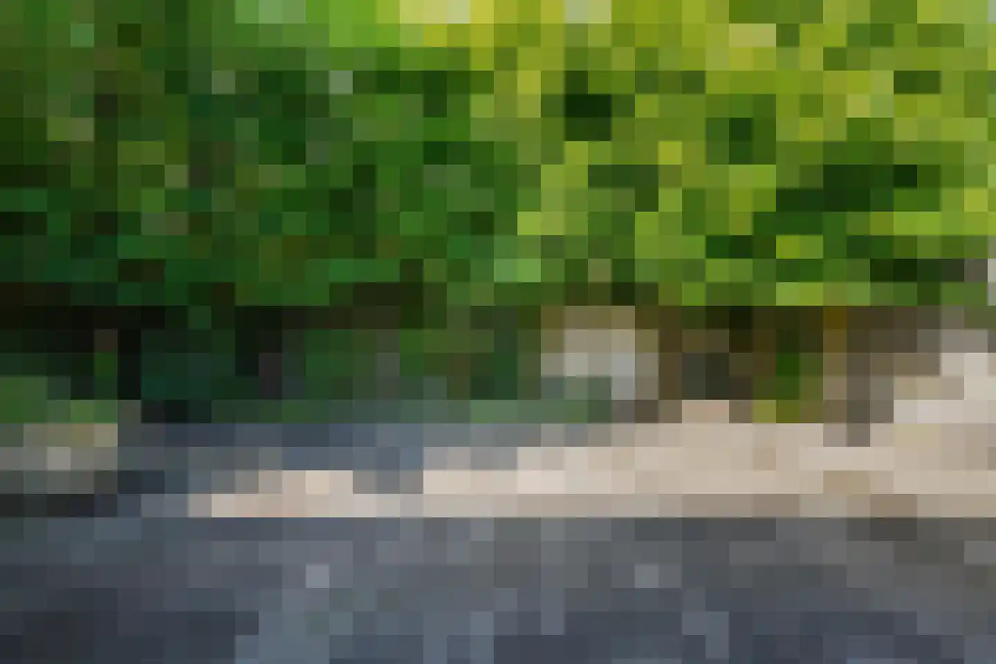 Nieuwstraat 43 Liempde thumbnail 50