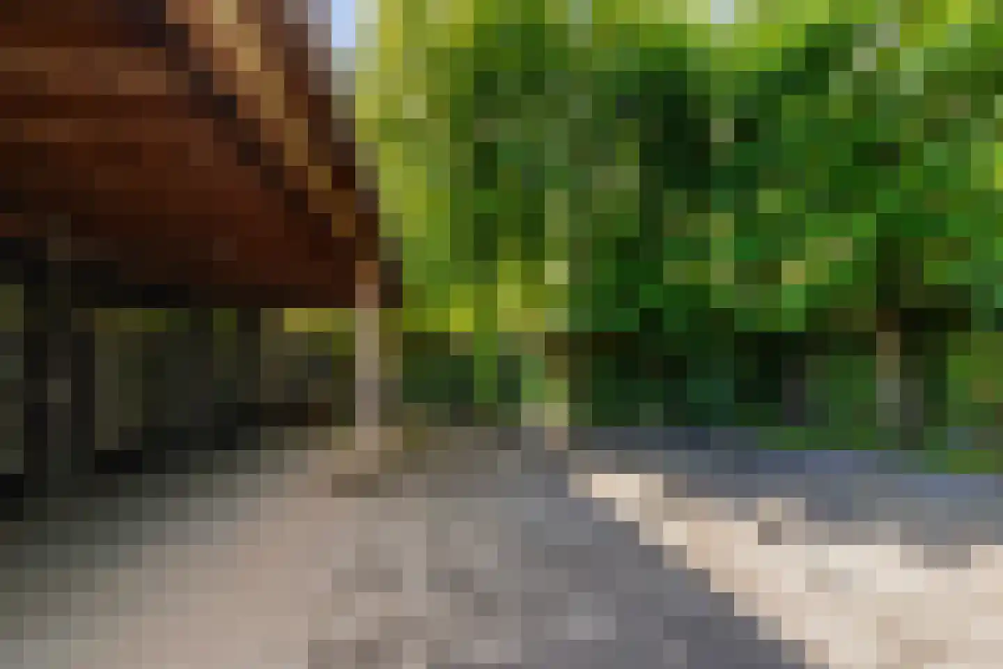 Nieuwstraat 43 Liempde thumbnail 52