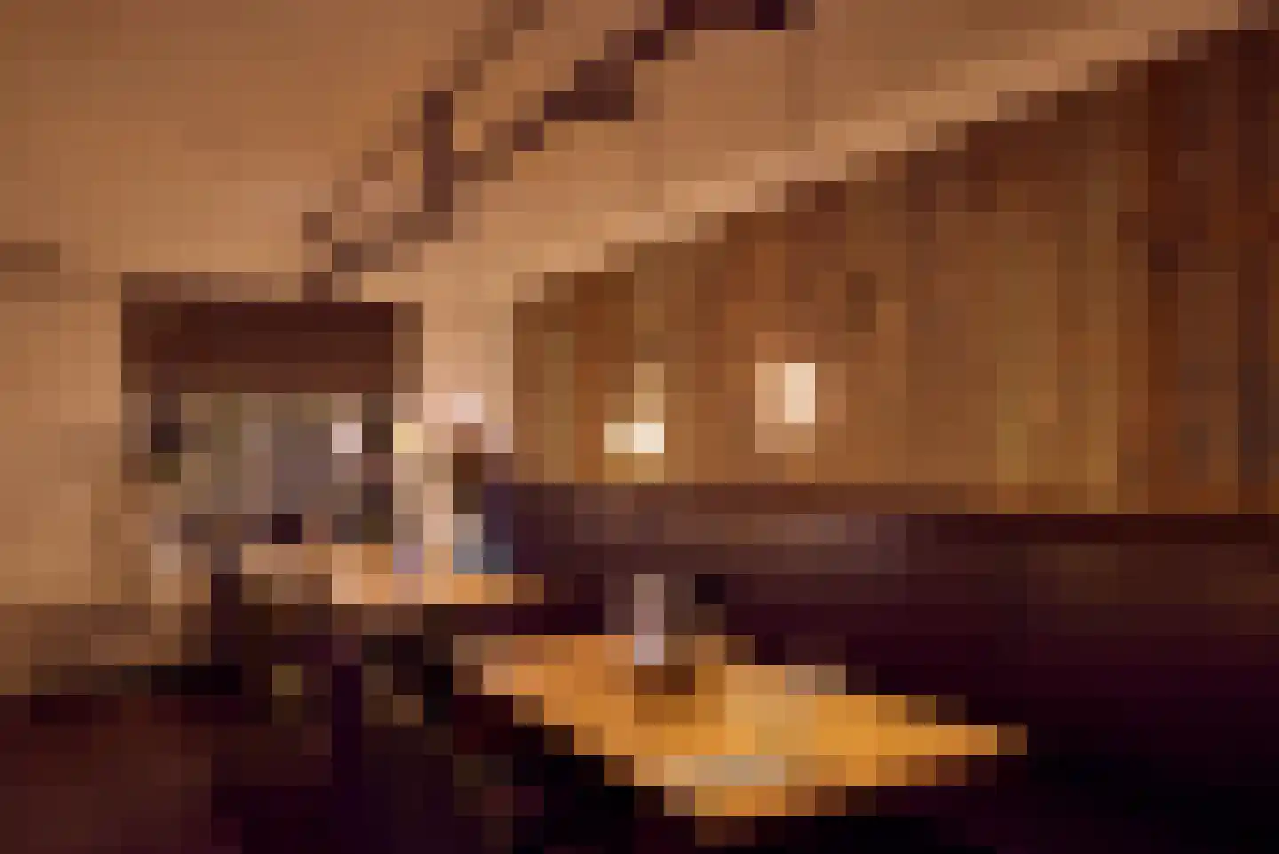 Nieuwstraat 43 Liempde thumbnail 64