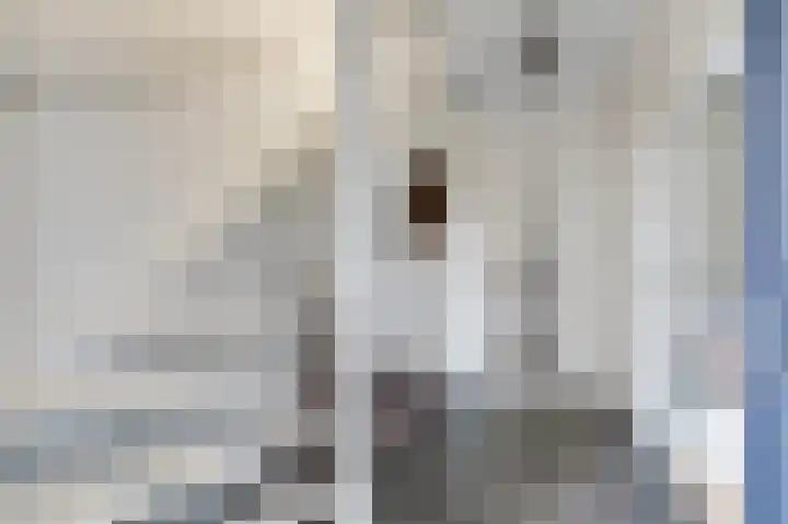 Nieuwstraat 43 Pannerden thumbnail 10
