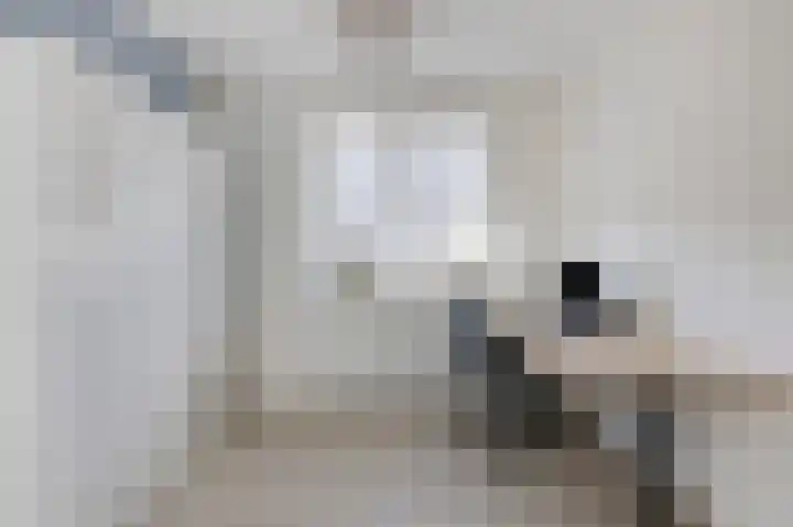 Nieuwstraat 43 Pannerden thumbnail 30